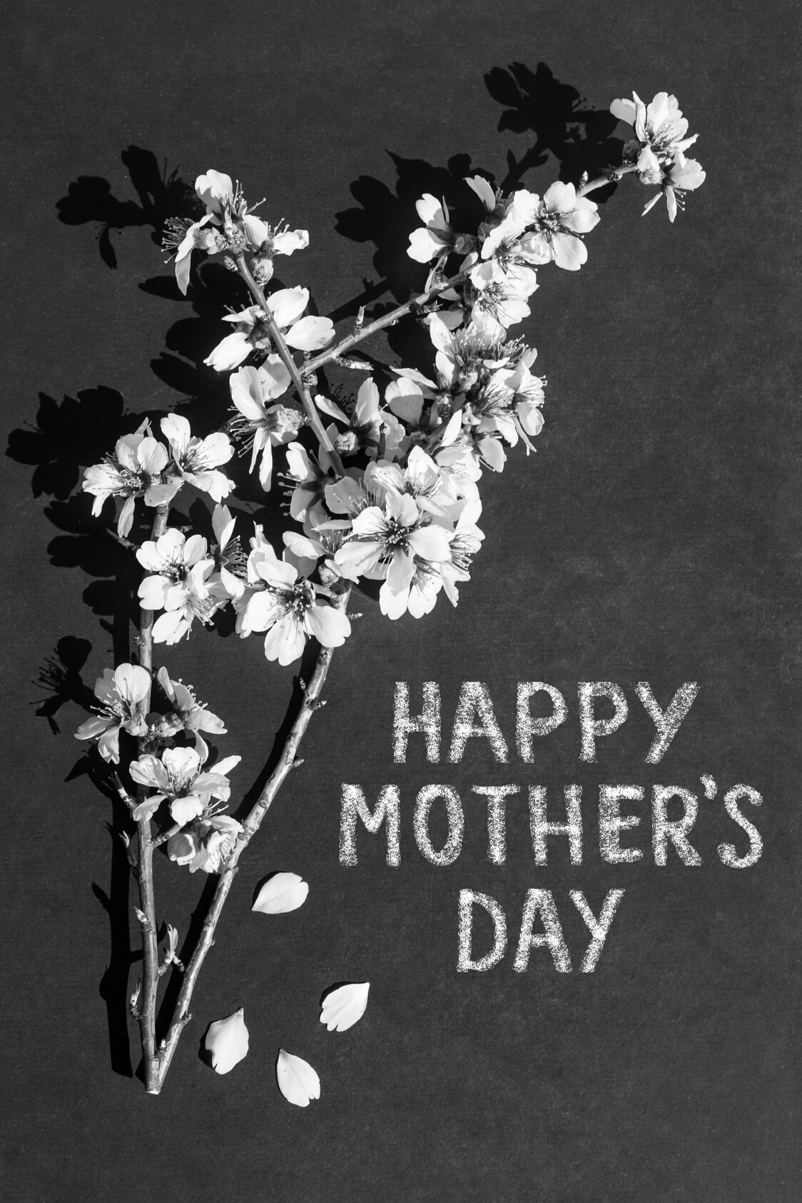 Happy Mother's day